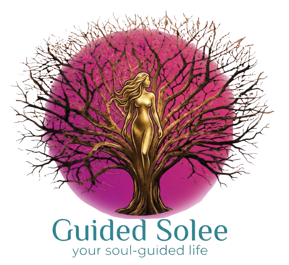 Guided Solee