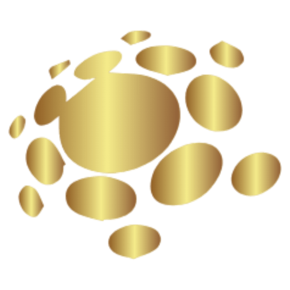 Access To Capital, LLC