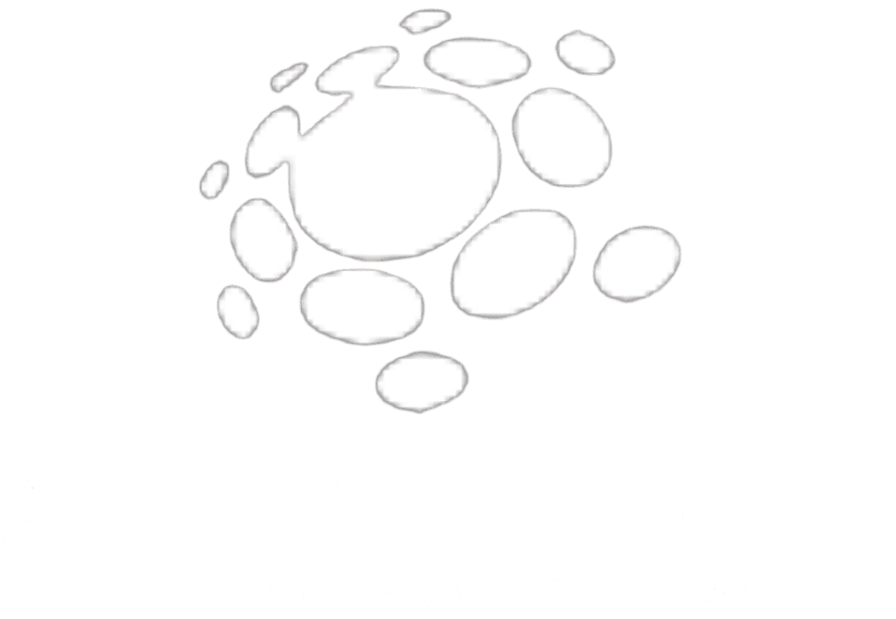 Access To Capital, LLC
