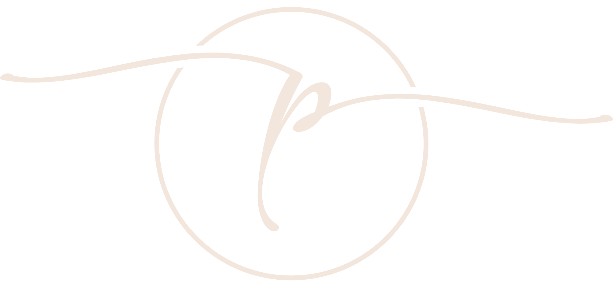 Precision Tax + Accounting Services, LLC