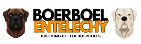 Boerboel Entelechy