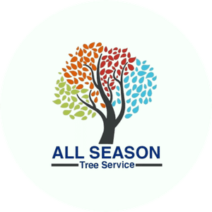 All Season Tree Service