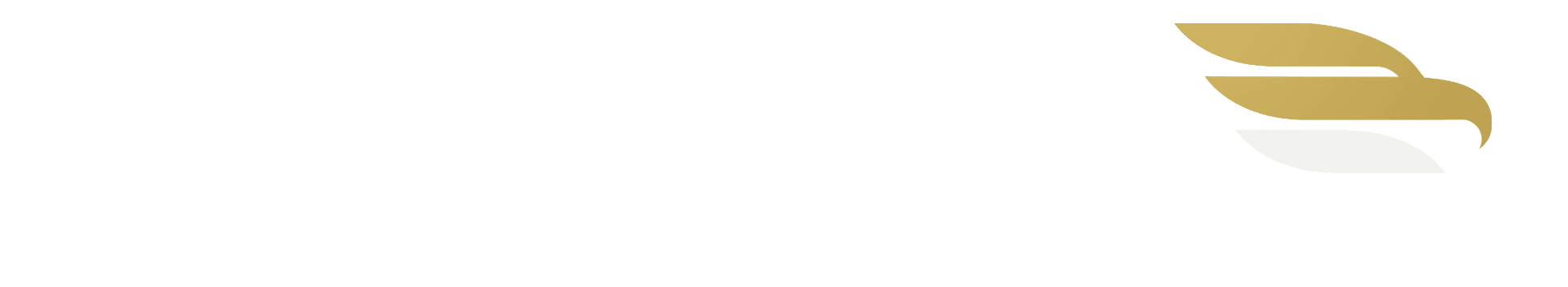 Urban Precision Solutions, LLC