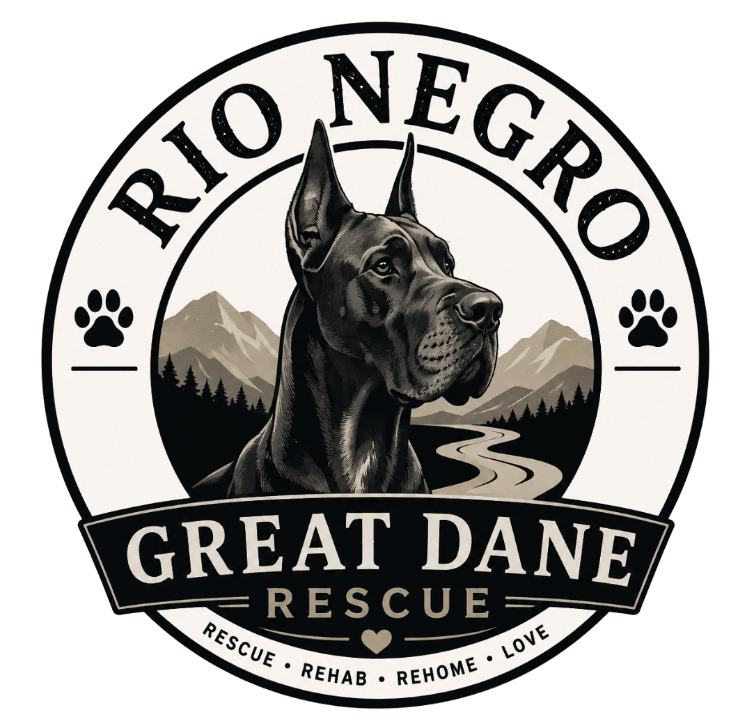 Rio Negro Rescue