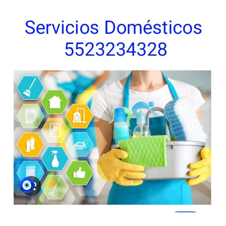 A cleaner holding a bucket of supplies with service icons overlaid.