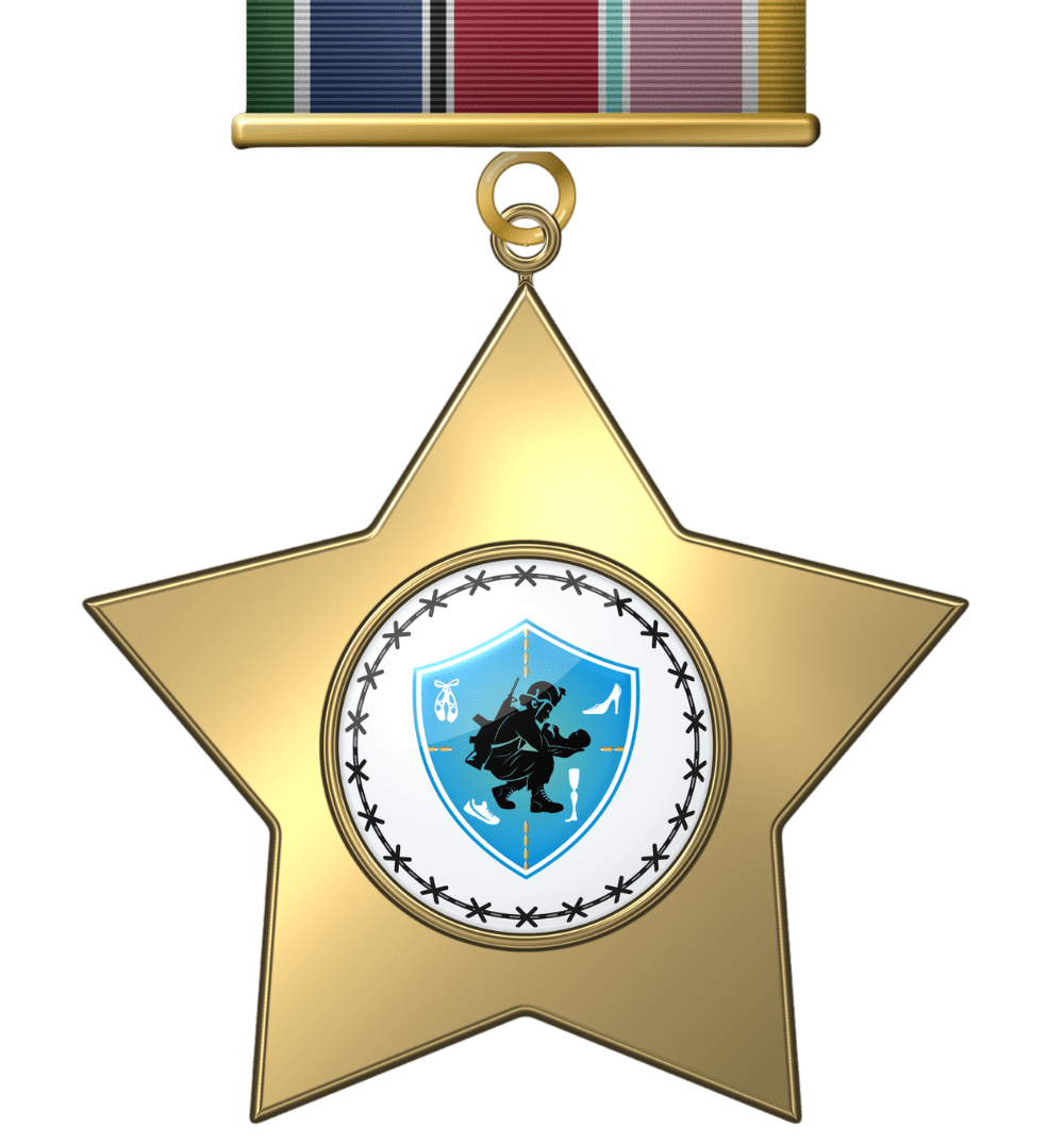 A gold star-shaped medal with a shield emblem and ribbon.