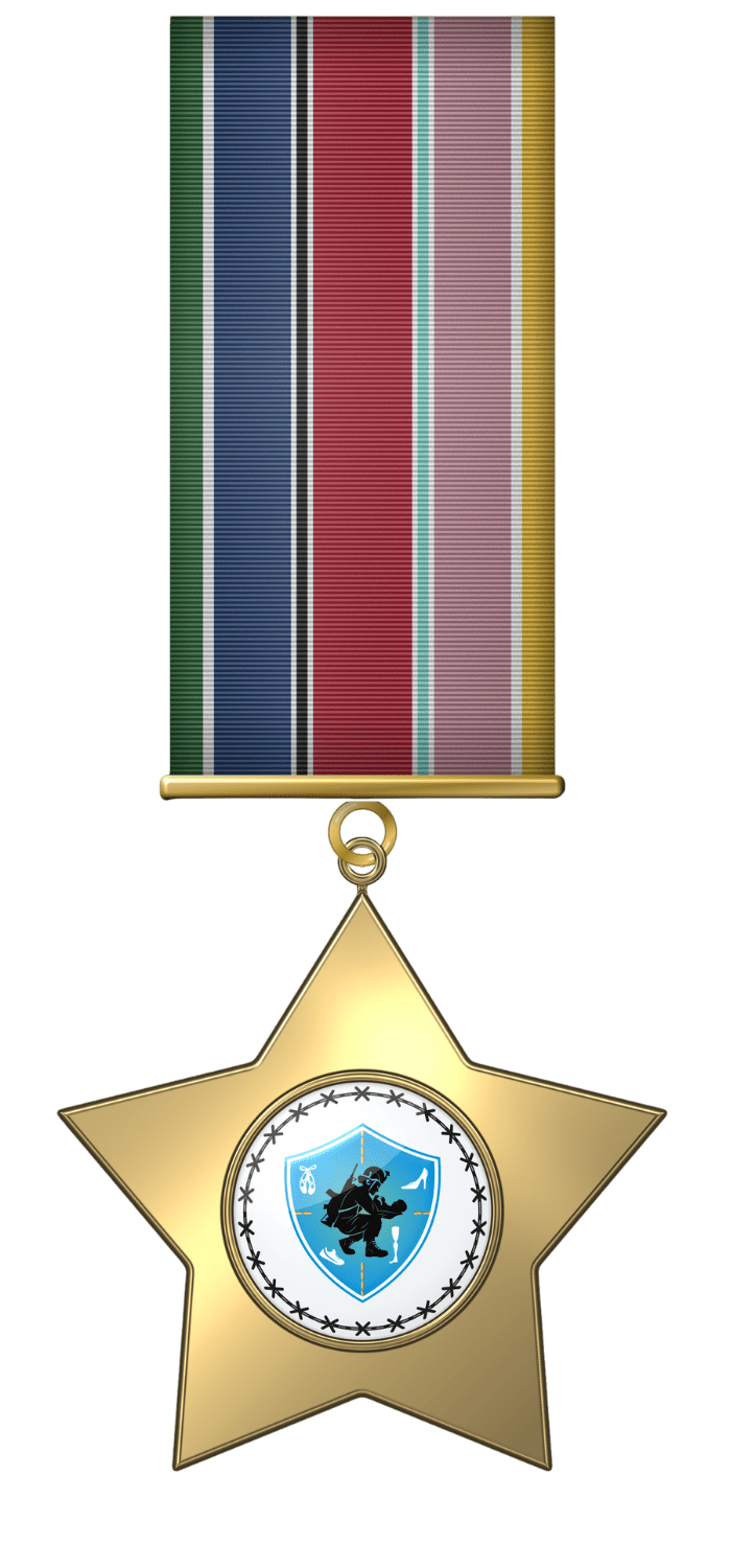 A gold star-shaped medal with a colorful ribbon and emblem.