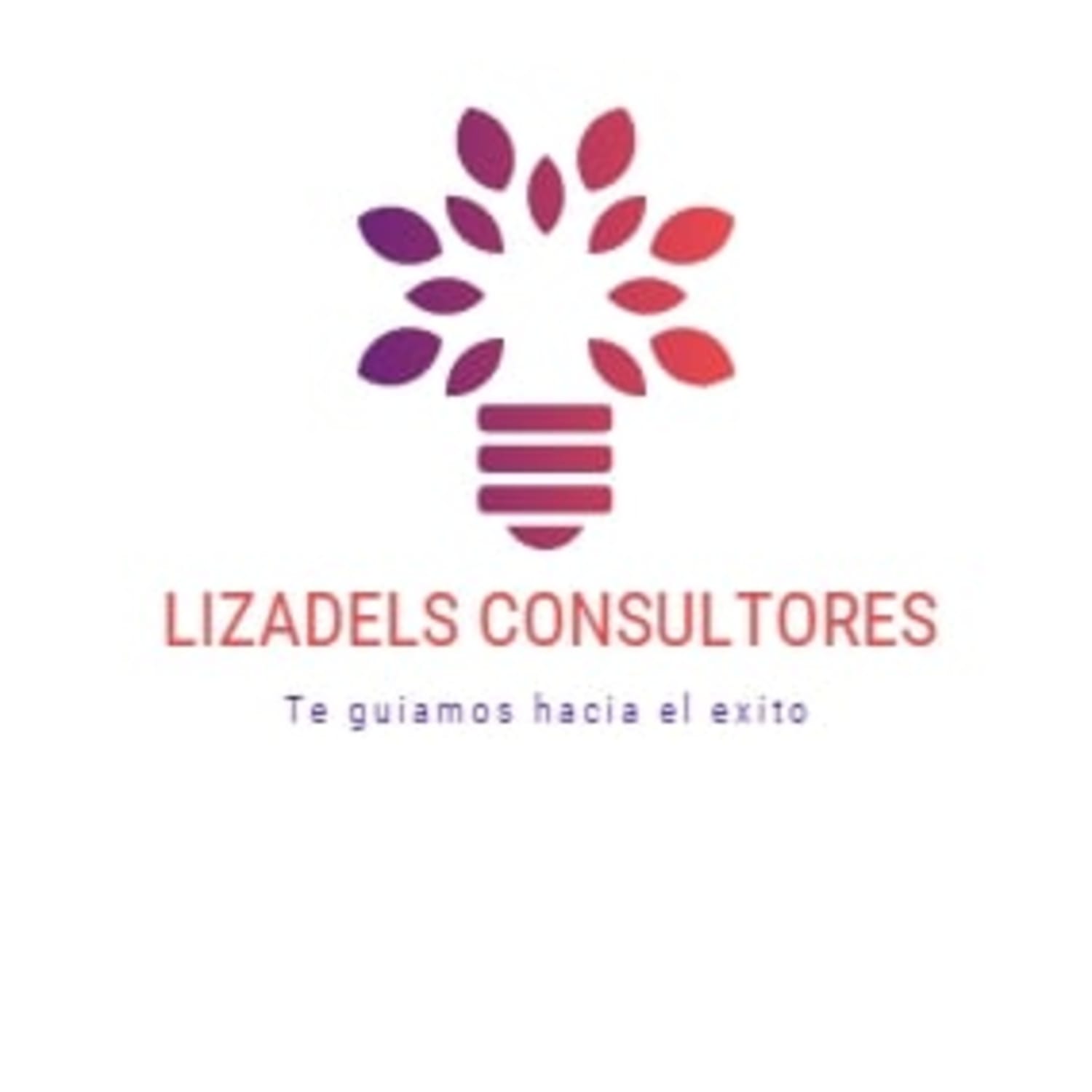 Lizadels Consultores